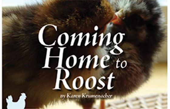 Coming Home to Roost