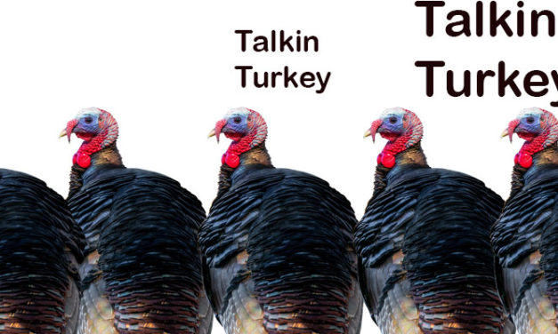 Talkin’ Turkey