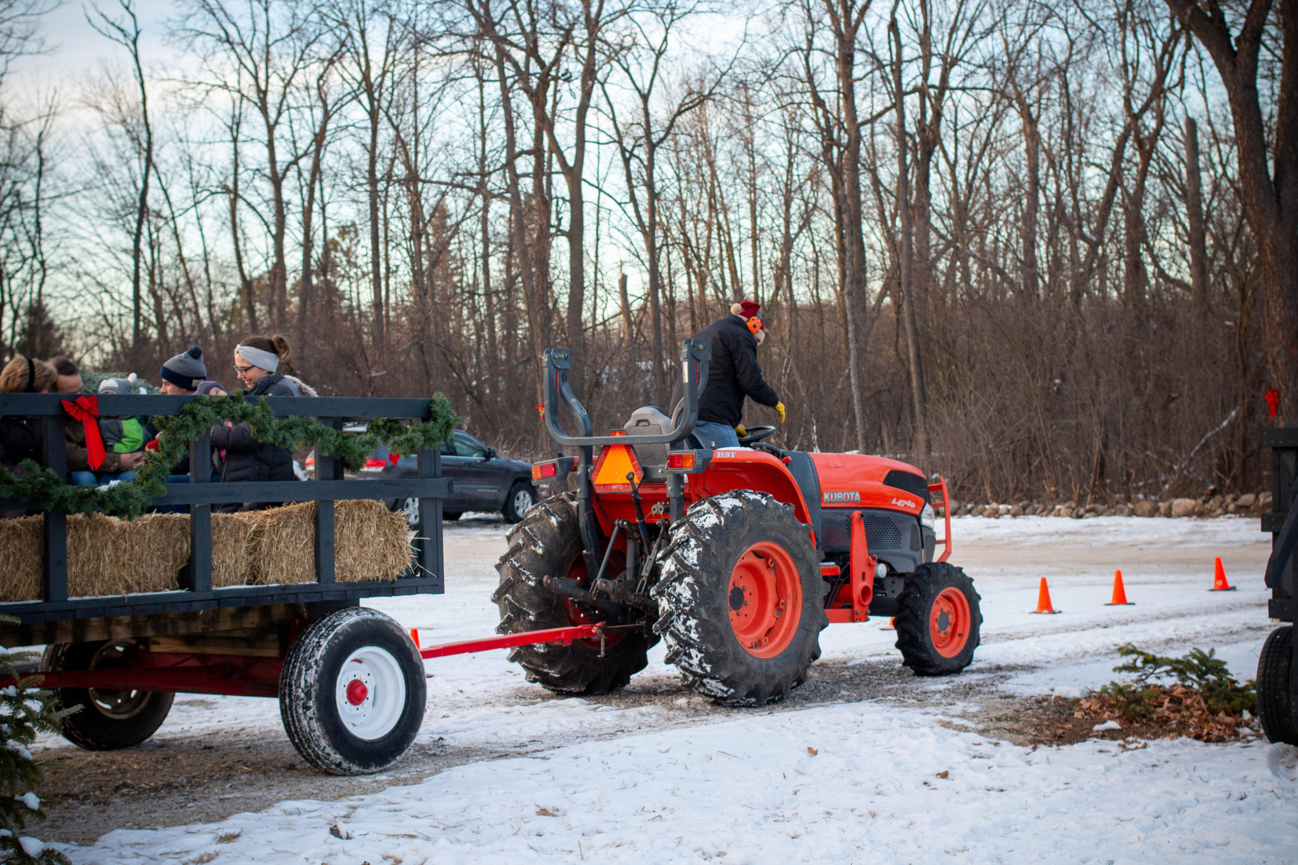 hay ride at Trees for Less in Mequon