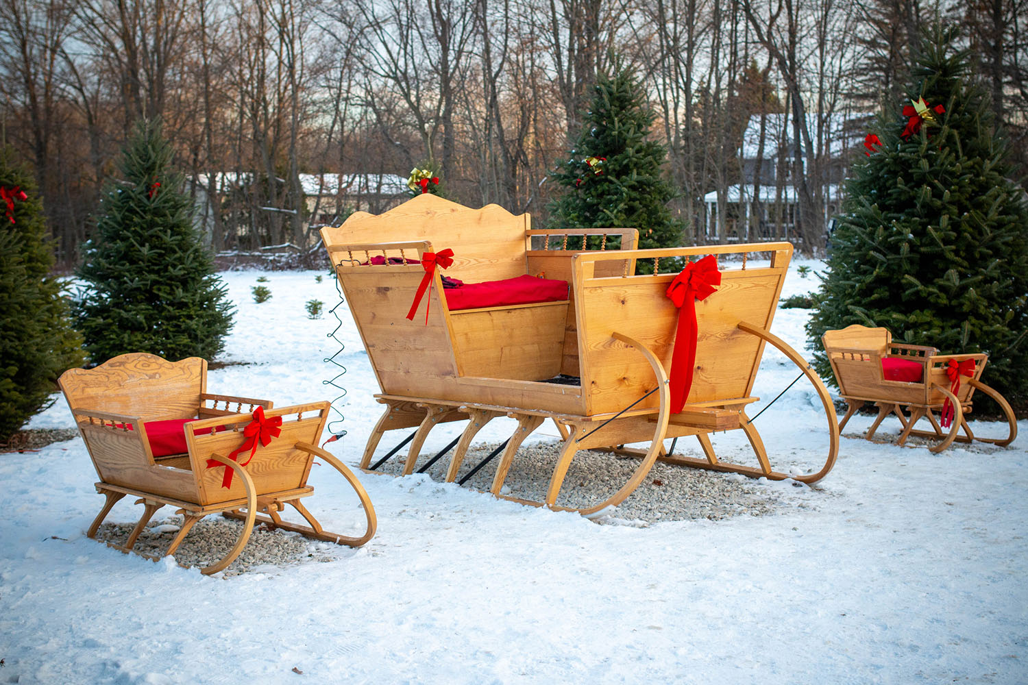 sleighs at Trees for Less in Mequon