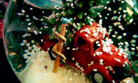 Fall into a Winter Wonderland