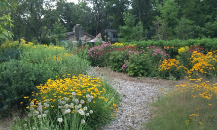 Sustainable Landscape Management