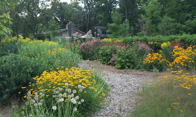 Sustainable Landscape Management