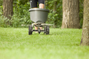 turf health