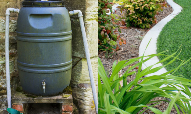 Water Management for the Residential Homeowner