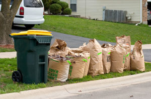 yard waste collection