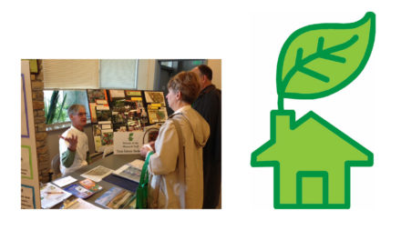Creating a Greener City