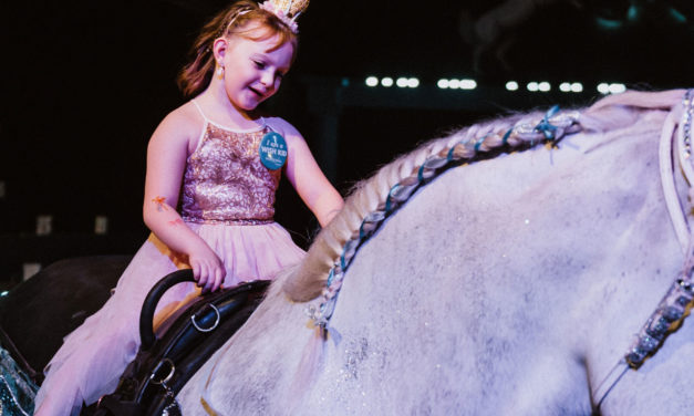 Make-A-Wish Wisconsin Brings Magic to Needy Lives