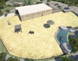elephant enclosure