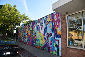 tosa murals