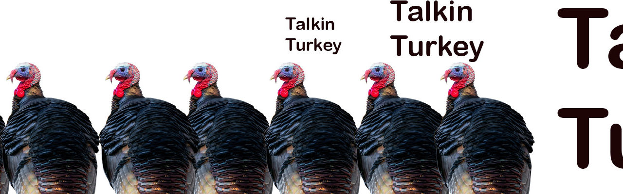 Talkin’ Turkey