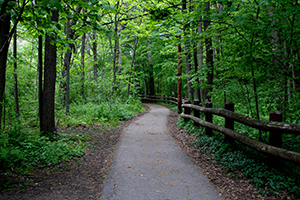 park